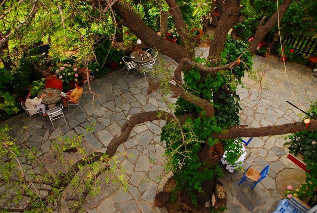 Atzanou Rooms Kamariotissa 객실 사진