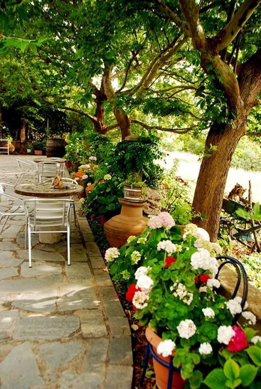 Atzanou Rooms Kamariotissa 외부 사진